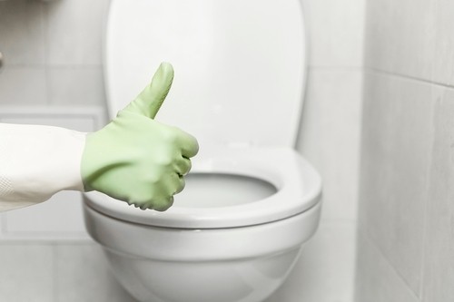 Best Guide To Toilet Water Leakage Repair