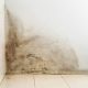 Common Signs of Water Damage When to Consider Waterproofing